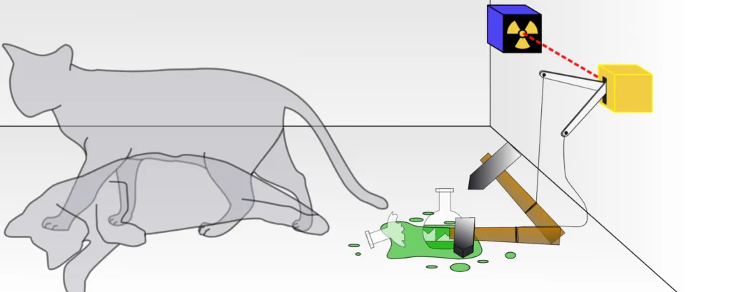 Quantum mechanics with a cat