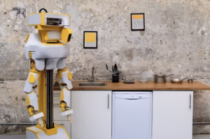 The Top 20 Newest Humanoid Robots