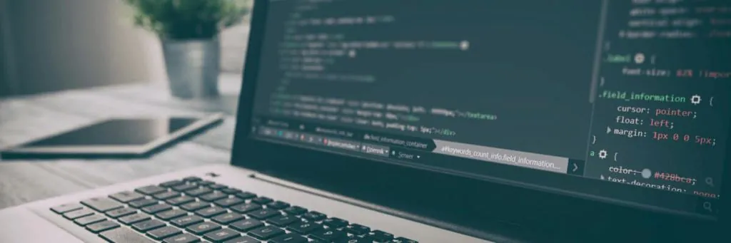 Desarrollo de software